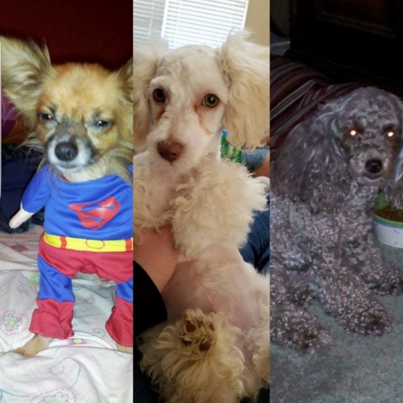 Meet your Posher, Kay'ren - Picture 6 of 7